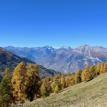 Apartamento Lavish With Paid Sauna Nendaz